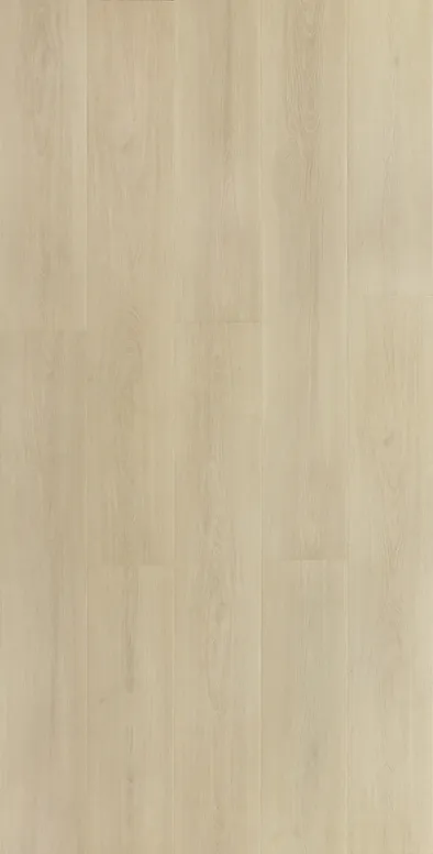 AQ-506